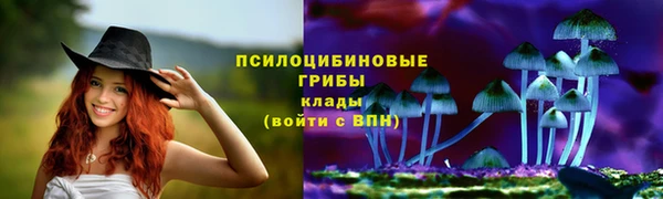 ГАЛЛЮЦИНОГЕННЫЕ ГРИБЫ Медногорск