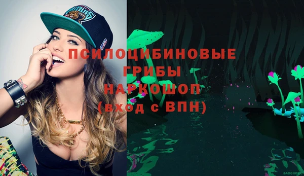 стафф Абаза