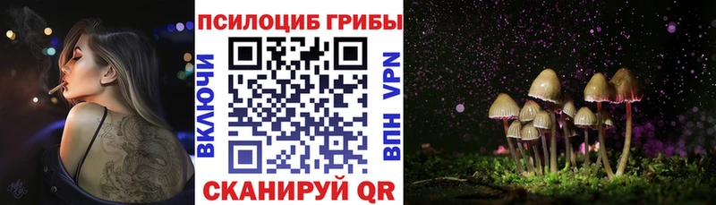 Псилоцибиновые грибы Psilocybe  Староминская 